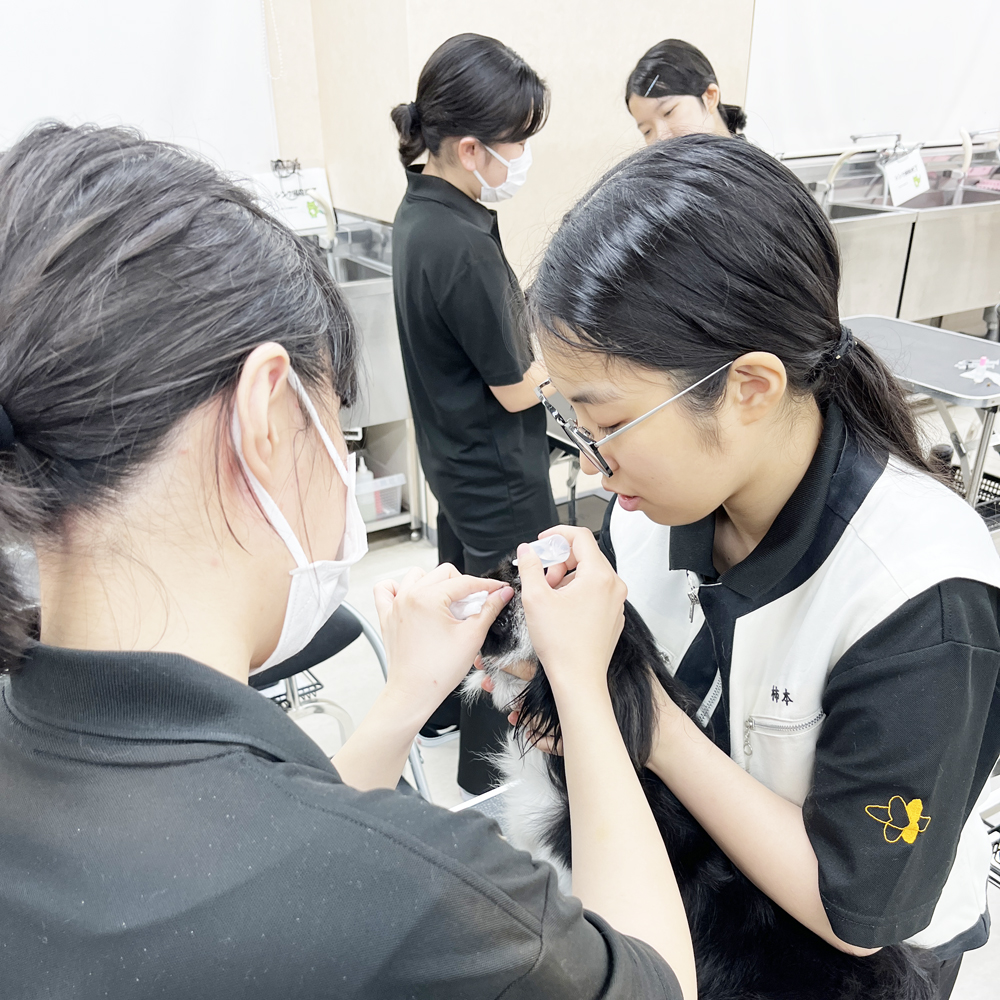 ２年生の看護実習